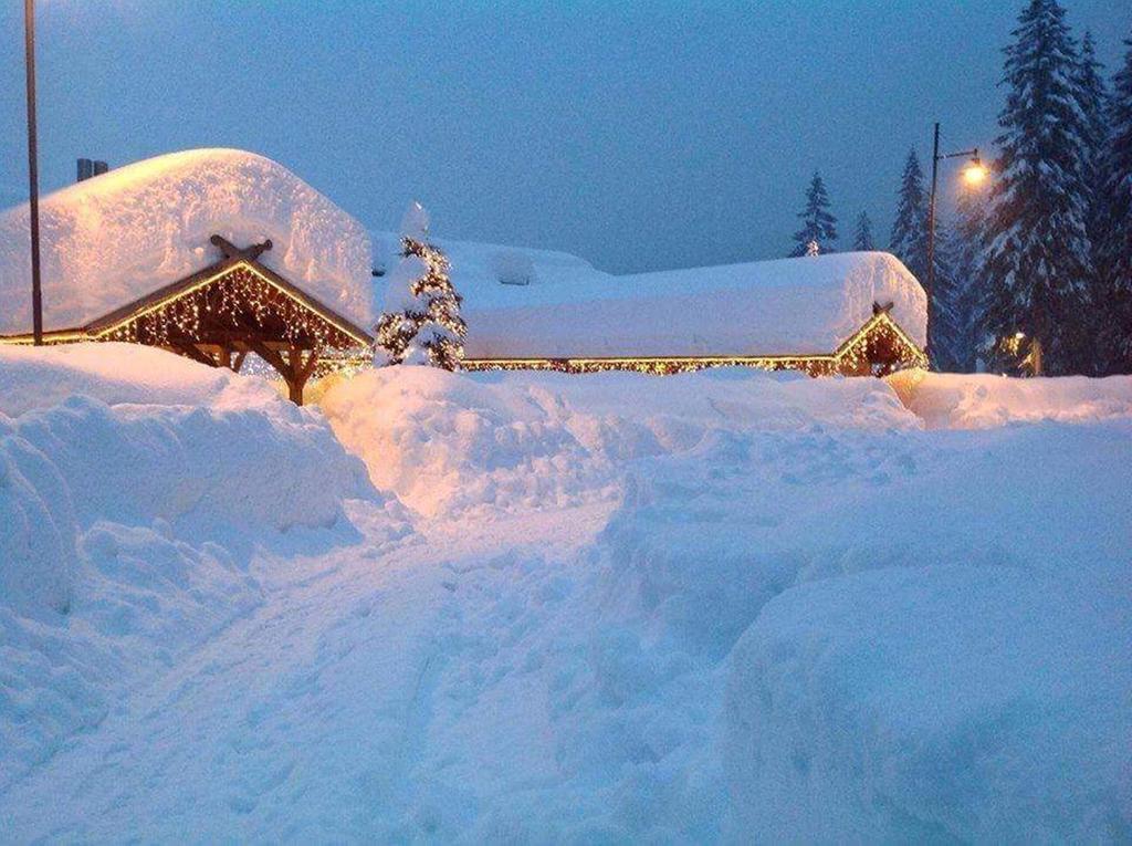 Chalet Al Lago San Vito di Cadore Esterno foto