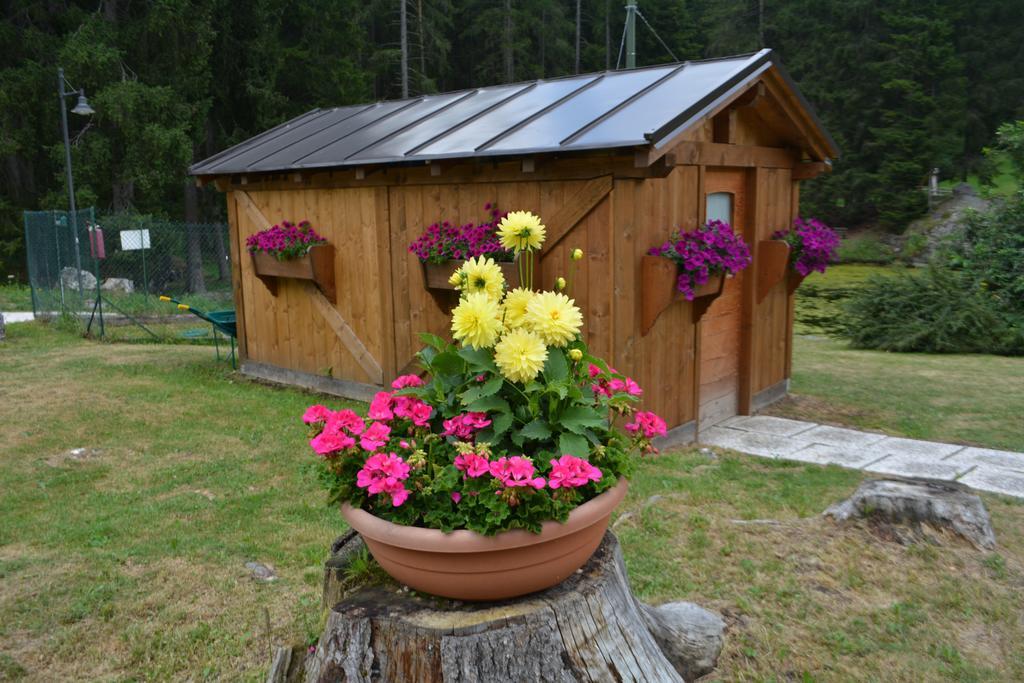Chalet Al Lago San Vito di Cadore Esterno foto